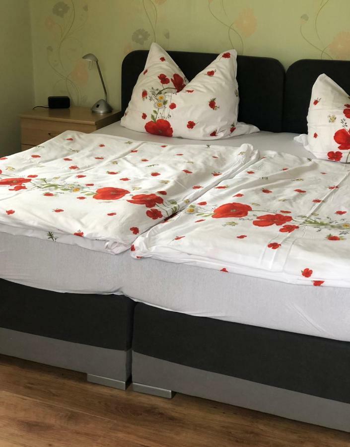 Hotel Pension Wiesenau Bad Salzhausen Ngoại thất bức ảnh